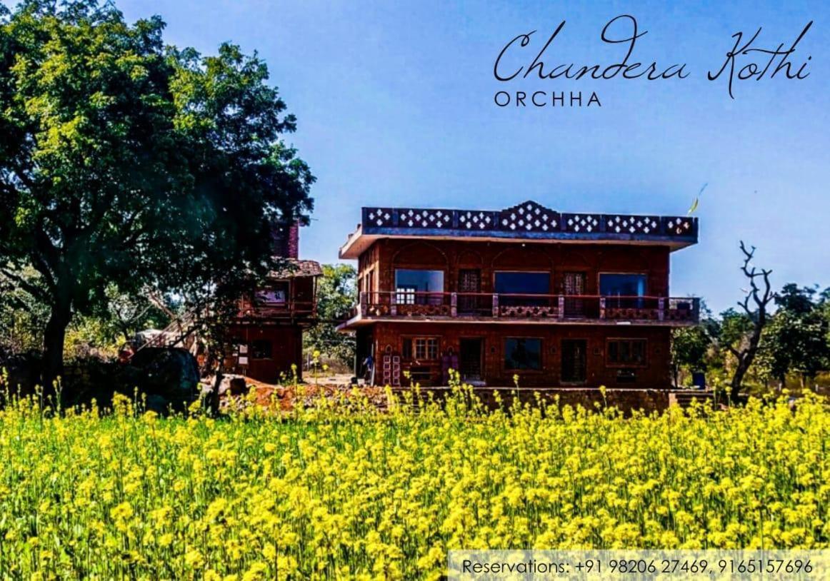 Chandera Kothi オルチャ エクステリア 写真